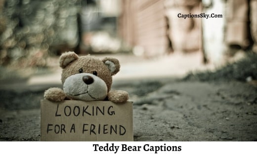 Teddy Bear Captions