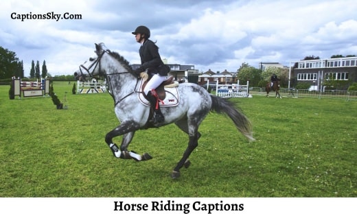Horse Riding Captions