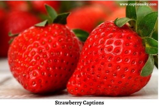 Strawberry Captions