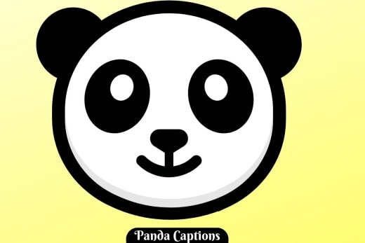Panda Captions