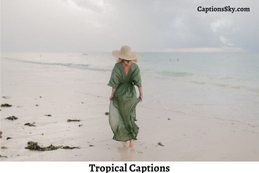 Tropical Captions