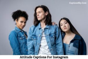 Attitude Captions (3)