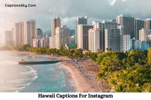 Hawaii Captions