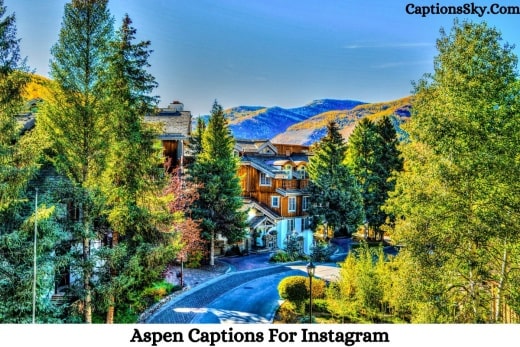 Aspen Captions