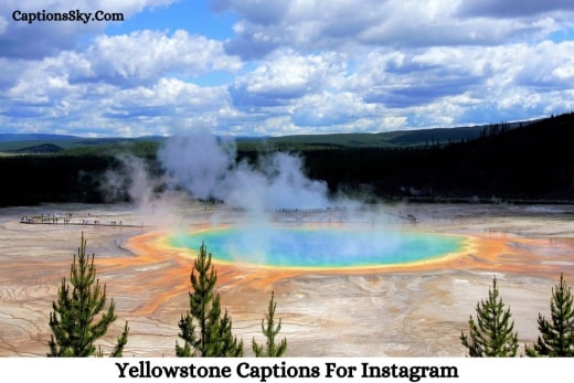 Yellowstone Captions