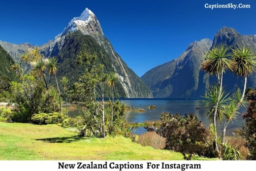 New Zealand Captions