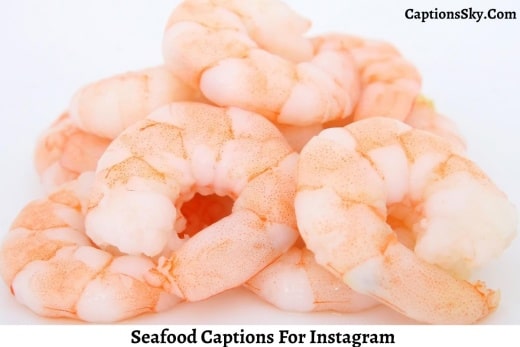 Seafood Captions
