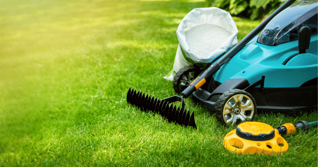 Lawncare 101: Why You Should Use Herbicides