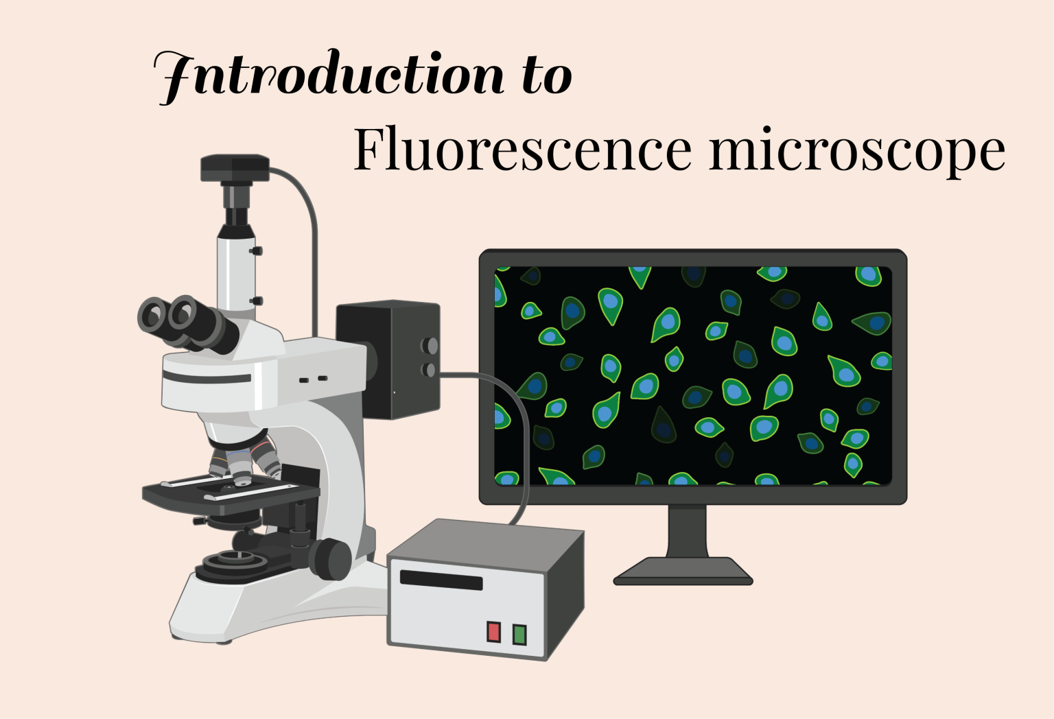 Introduction to Fluorescent Proteins in Biomedical Research